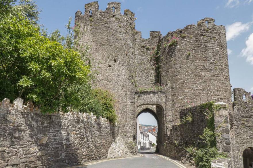 CASTLE APARTMENT, Family Friendly, Country Holiday Cottage In Conwy