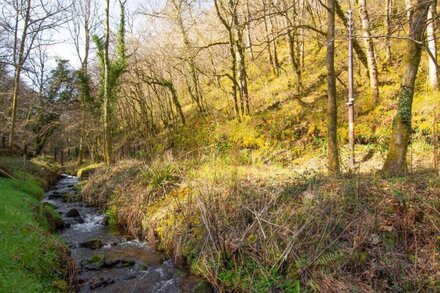 High Trees in Carmarthen