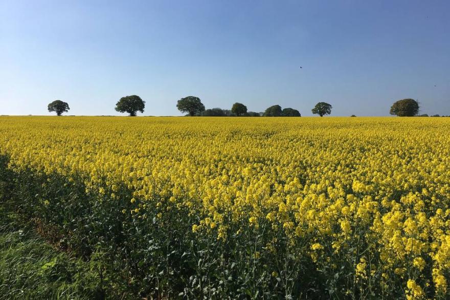 Cotswolds Barn Apartment - luxury self catering near Bath & Bristo