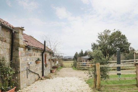 FOREST VIEW COTTAGE, romantic, character holiday cottage in Cloughton