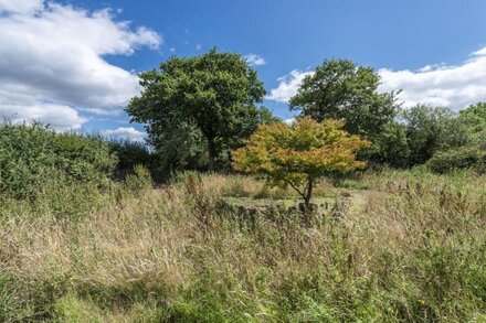 Located on Morton Common surrounded by glorious countryside and forest, Primrose Cottage is a quaint