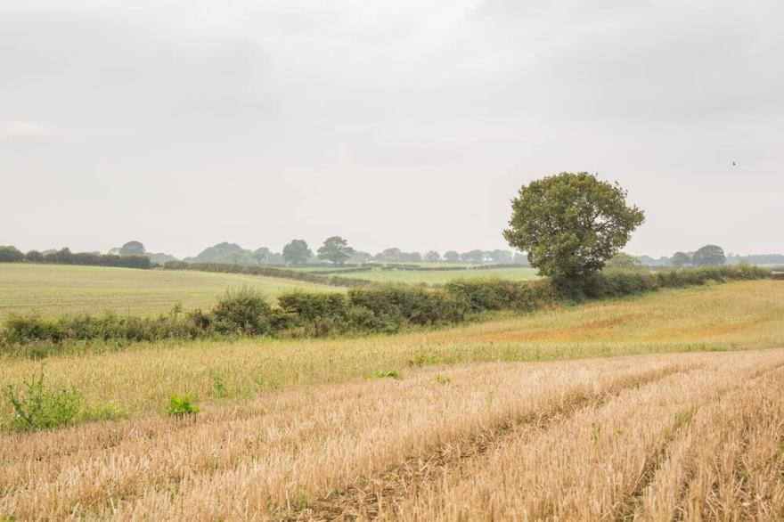 Pig Run Barn-4 Star Gold Cottage Set In Countryside Nr Beamish, Newcastle&Durham