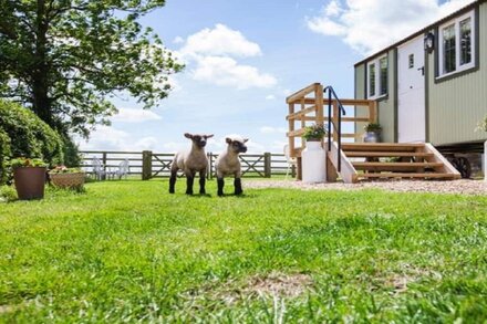 Shepherd Hut Farm Dress