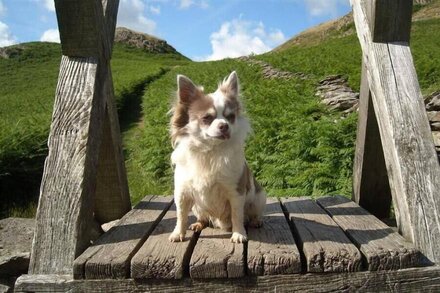 NEST BARN, pet friendly, with a garden in Keswick