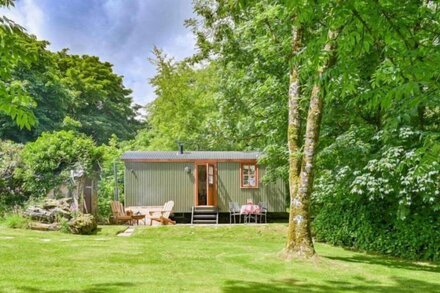 The Shepherds Hut -  a tremaine manor that sleeps 2 guests  in 1 bedroom