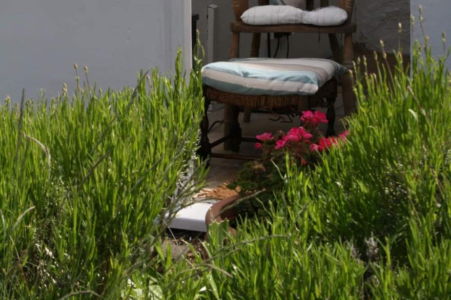 Pretty Cottage Near Hayle And St Ives, Cornwall, England.  Dog friendly!