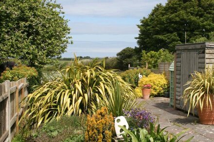 Pretty Cottage Near Hayle And St Ives, Cornwall, England.  Dog friendly!