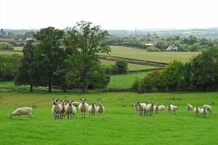 Ivy Cottage - Charming 18th Century Detached Cottage in Cotswold's area, UK