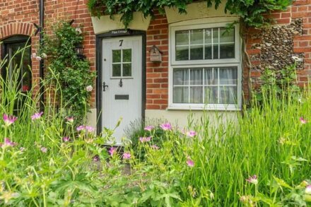 A picturesque terraced late Georgian house in the heart of a beautiful village