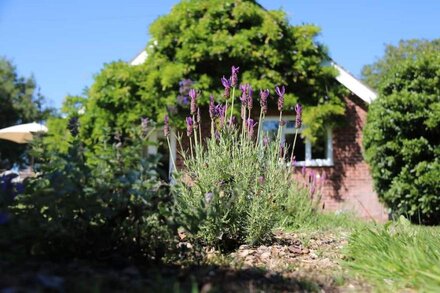 Quiet holiday home in beautiful, secluded 3/4 acre garden.