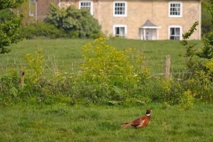 Multi-award winning Georgian Farmhouse with rural views and proximity to beach