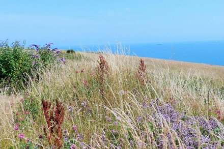 7 Coastguard Cottages -  a house that sleeps 5 guests  in 3 bedrooms