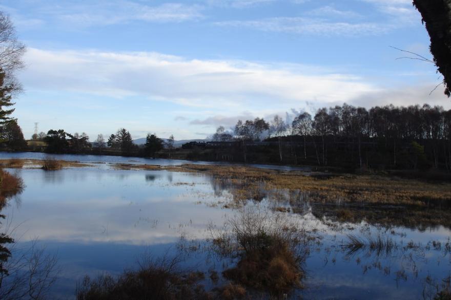 Peaceful home with open views in Cairngorm National Park, Scottish Highlands