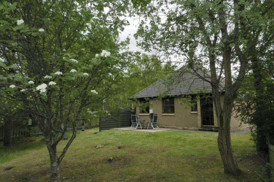 Falcon Lodge, Detached 3 Bedroom Bungalow, Ideal For Family Holiday