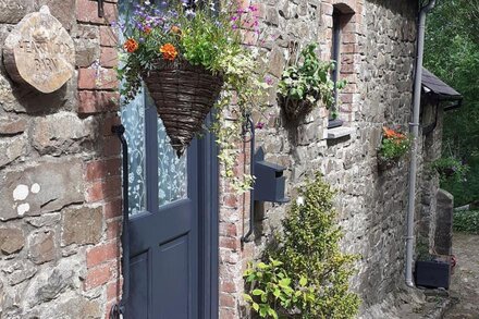 Heartwood Barn - Cosy converted barn, nestled in beautiful ancient woodland