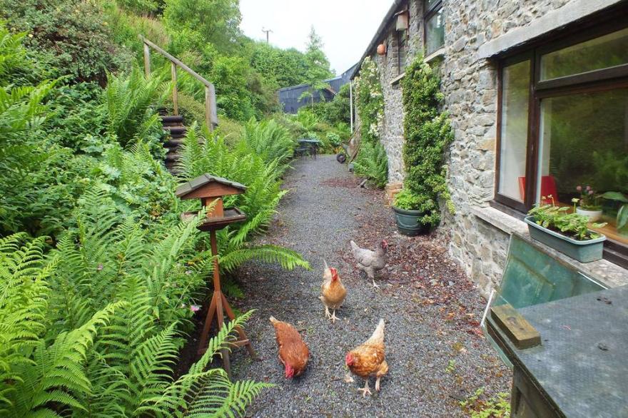 Charming Character Cottage, Crychan Forest &  Brecon Beacons