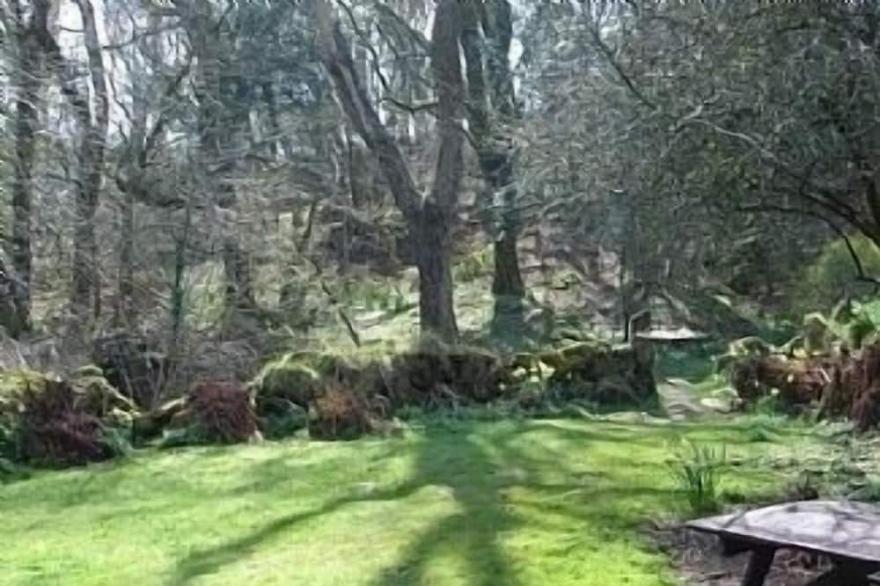 16th Century Grade II Listed Cottage in Heart of Dartmoor National Park