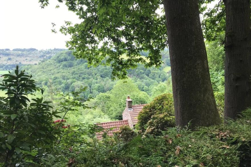 Detached Cottage C1760 in Great Doward, Symonds Yat West, in 2 acres of land