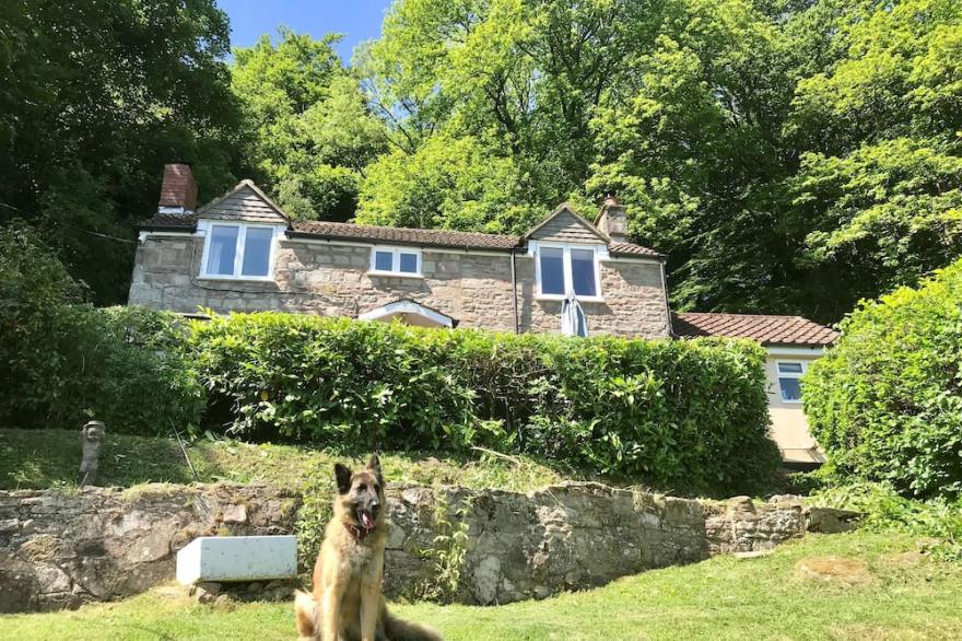 Detached Cottage C1760 In Great Doward, Symonds Yat West, In 2 Acres Of Land