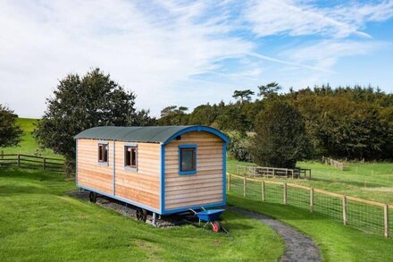 COW PARSLEY SHEPHERD'S HUT, near Berwick upon Tweed - sleeps 4