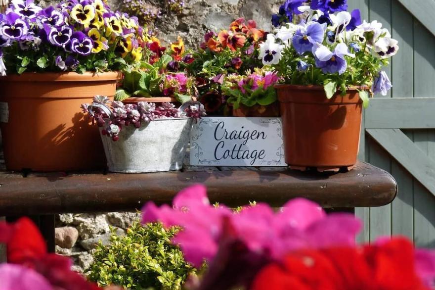 Craigen Cottage,Detached Victorian House, Enclosed Gardens In Ballater Village