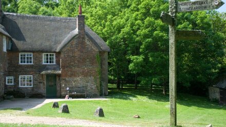 Beech Cottage