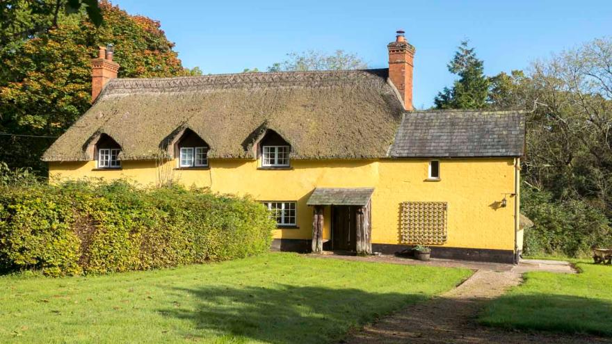 Forest Cottage