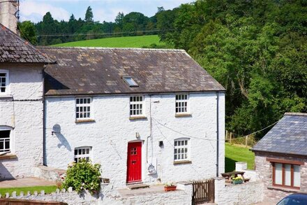 Daisy Byre