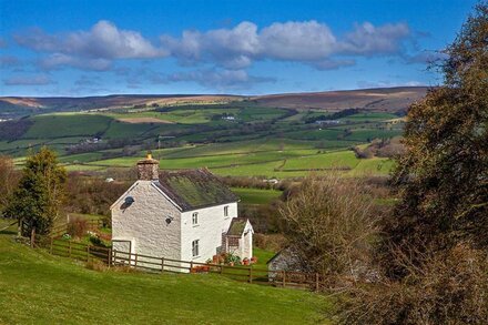 Yr Allt