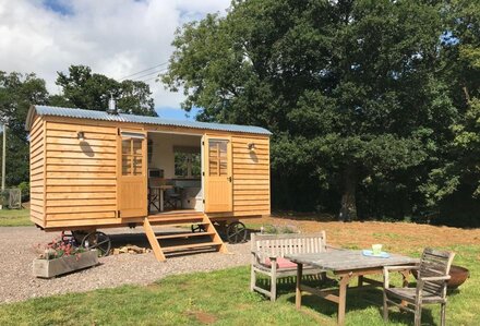 Blossom the shepherd's hut