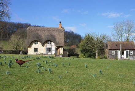 Field Cottage