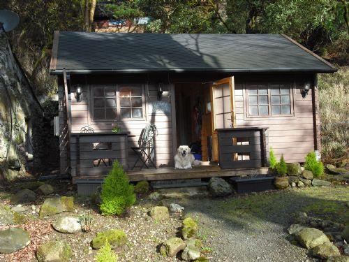 Maple Log Cabin