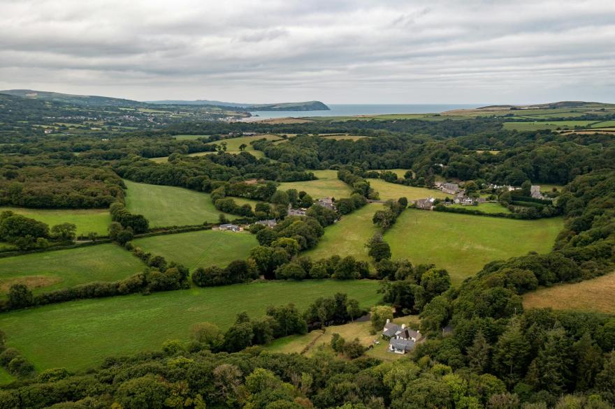 Penwaun Bach