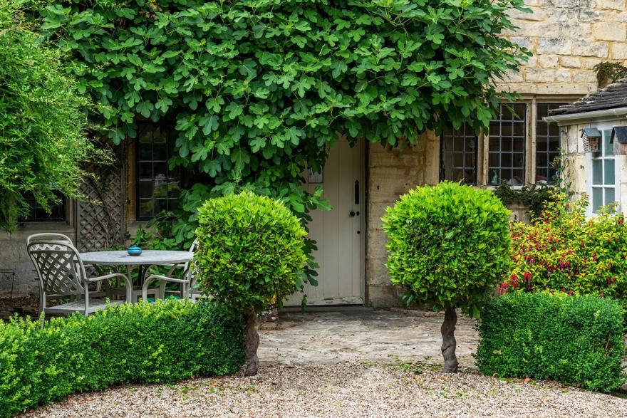 Fig Tree Cottage